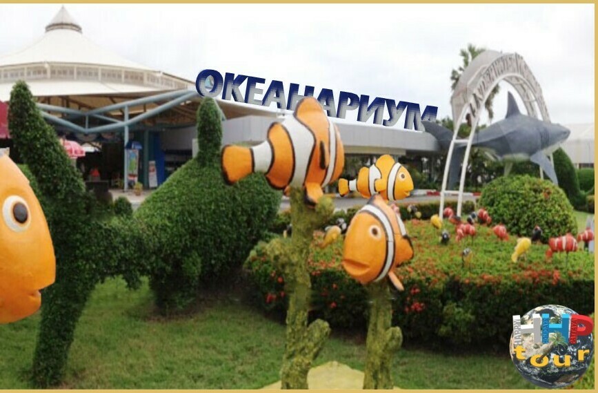 ОКЕАНАРИУМ В ПАТТАЙЕ