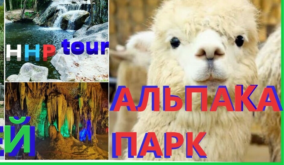 АЛЬПАКА ПАРК. Из Паттайи на земли королей