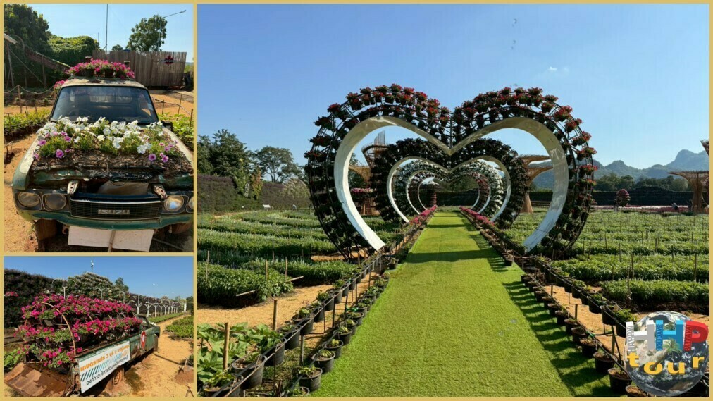 Цветы на капоте автомобиля и декоративные сердца в цветах. Красивый кленовый сад без клёнов на экскурсии Квай Сафари и Каньон Летающего Дракона.