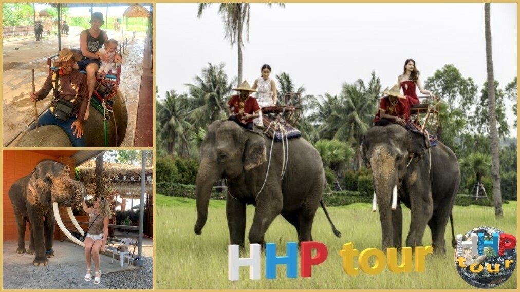 Знакомство с Сиамом, катание на слонах.