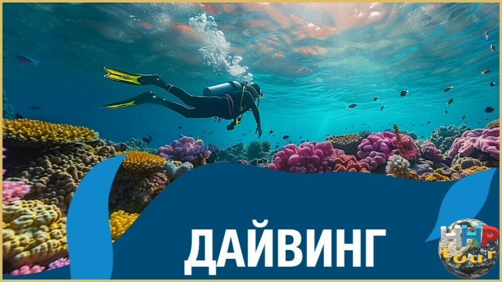 Полноценный дайвинг, на экскурсии "Побег в океан".