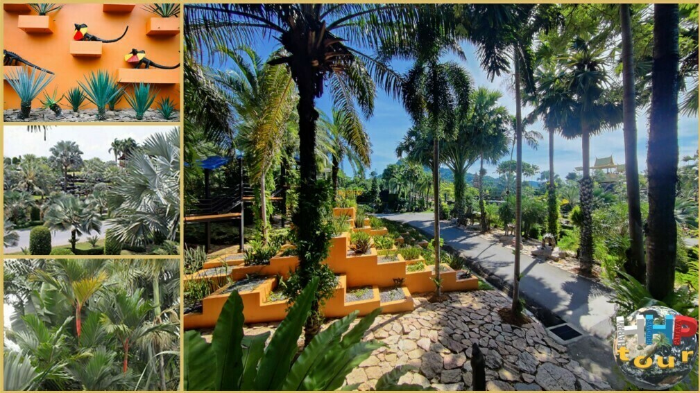 В парке Нонг Нуч на сегодняшний день, насчитано более 2000 видов пальм.