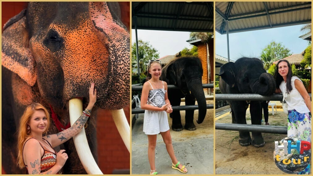 Знакомство с Сиамом, фотосессия со слонами.