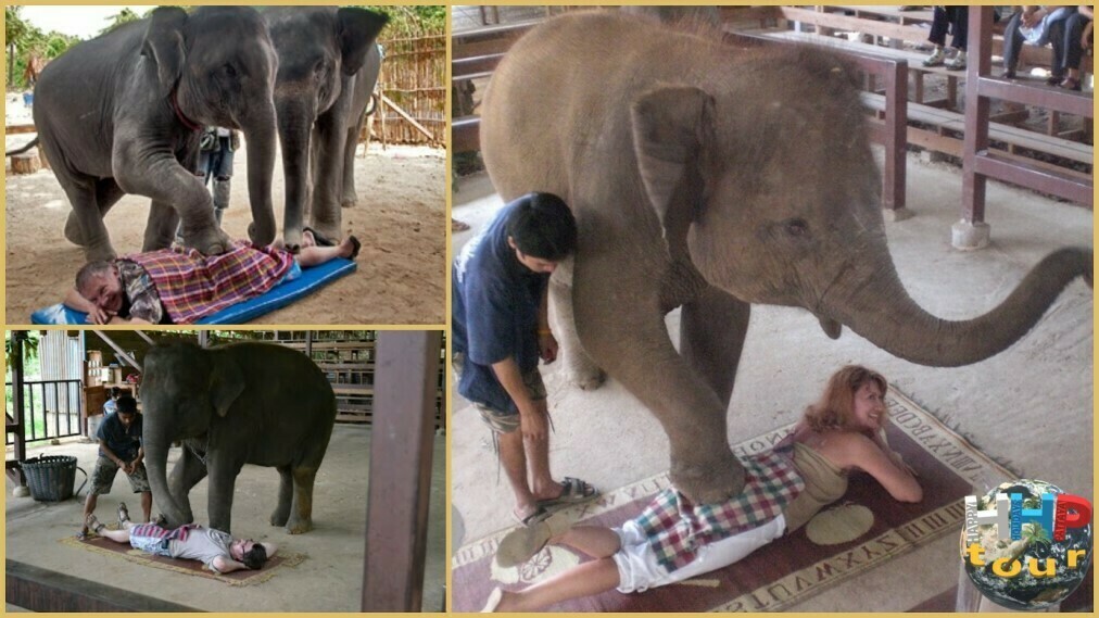 Тонкий массаж в деревне слонов на двухдневной экскурсии Река Квай + Сафари.