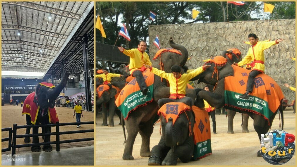 Ботанический сад Нонг Нуч Паттайя. Шоу слонов.