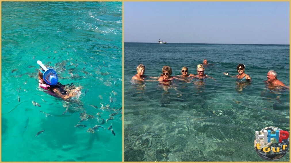 Остров Paradise. Сноркелинг и купание в чистейшей воде Сиамского залива.