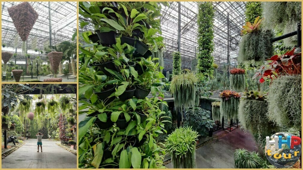 Чудеса небесного сада в ботаническом парке Нонг Нуч Паттайя.