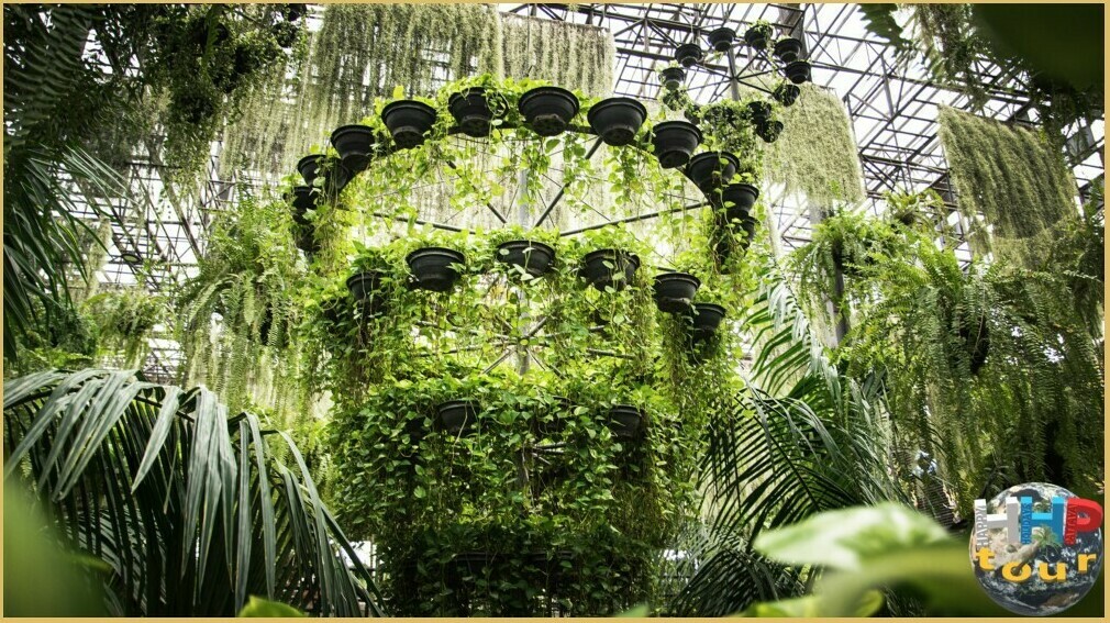 Небесный сад, разнообразные виды растений. Экскурсия в парк Нонг Нуч.