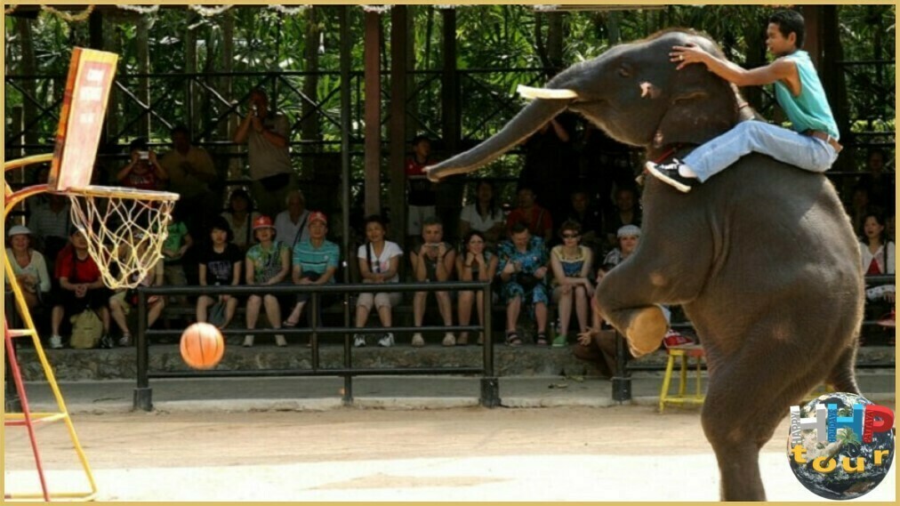 Слан баскетболист в парке Нонг Нуч Паттайя.