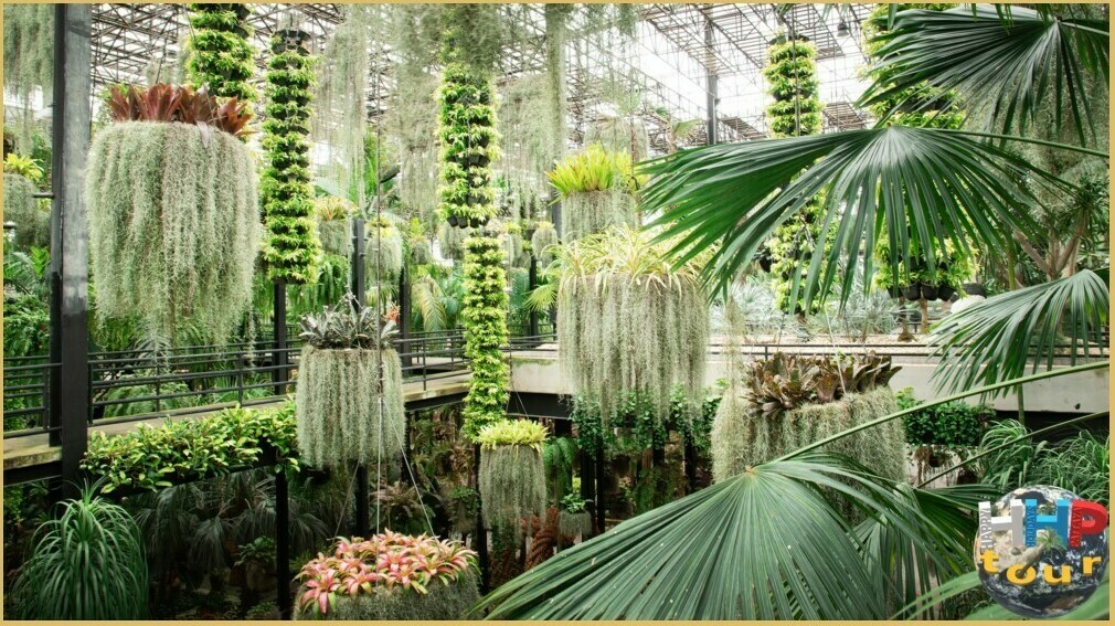 Небесный сад регулярно обновляют, формируя живые композиции. Экскурсия в парк Нонг Нуч.