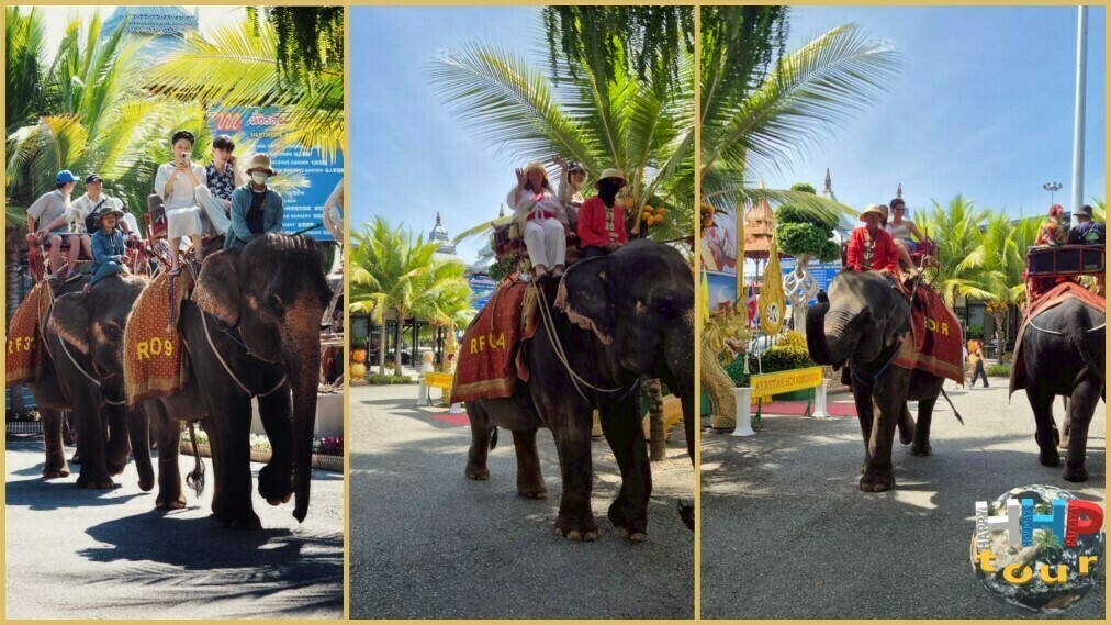 Катание на слонах в ботаническом саду Нонг Нуч Паттайя.