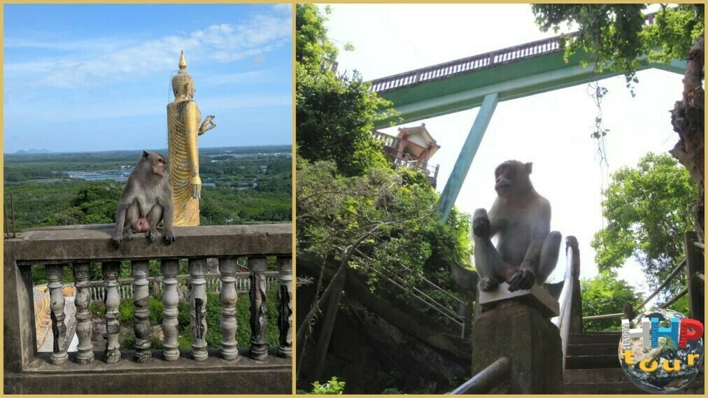 Экскурсия на Ко Чанг премиум. Местные жители храма Золотой Колокольчик.