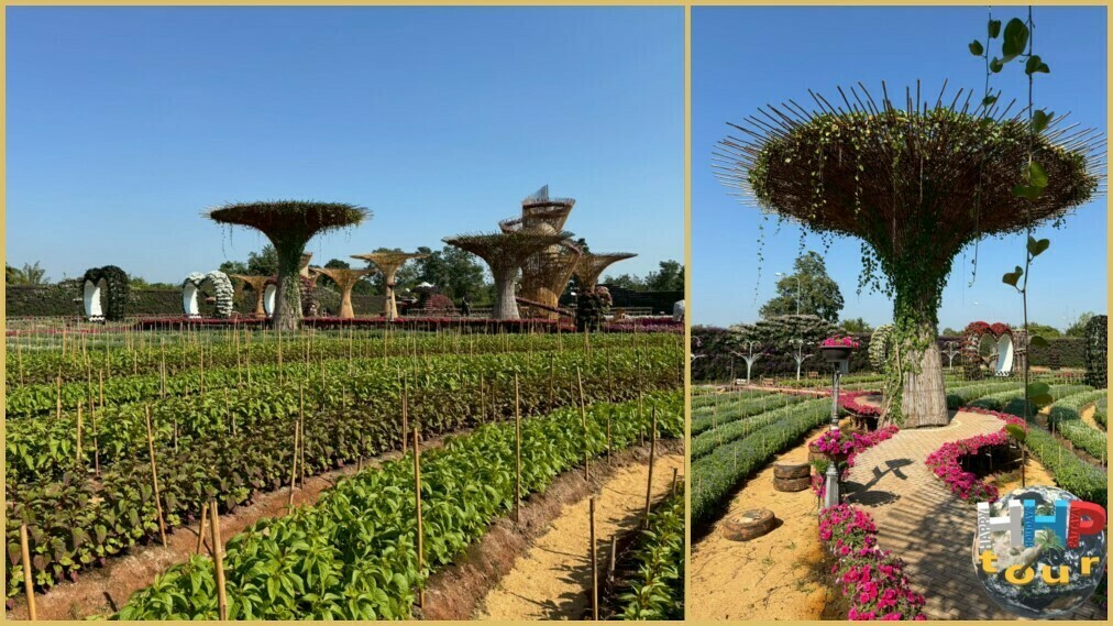 Красивый кленовый сад без клёнов на экскурсии Квай Сафари и Каньон Летающего Дракона. Ботанический Аватар.