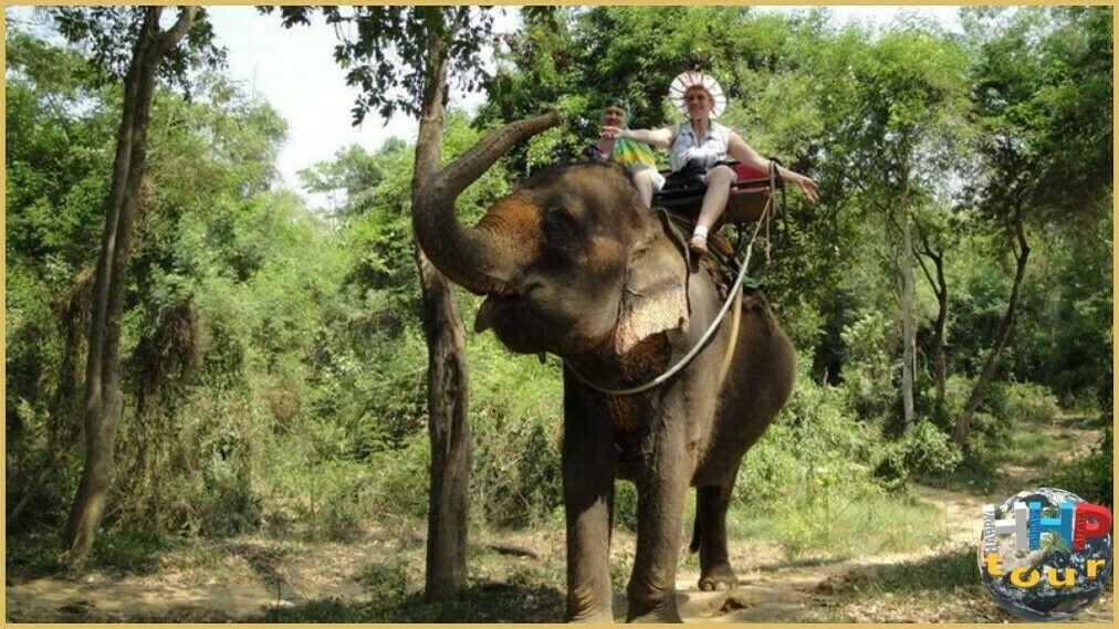 Катание на слонах по джунглям в деревне слонов, на двухдневной экскурсии Река Квай + Сафари.