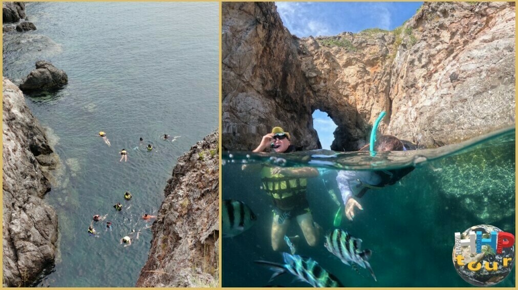 Снорклинг на экскурсии Морское Дискавери