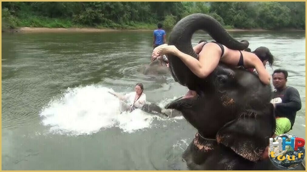 Девушка хотела красивое фото во время купания со слоном в деревне слонов, на двухдневной экскурсии Река Квай + Сафари.