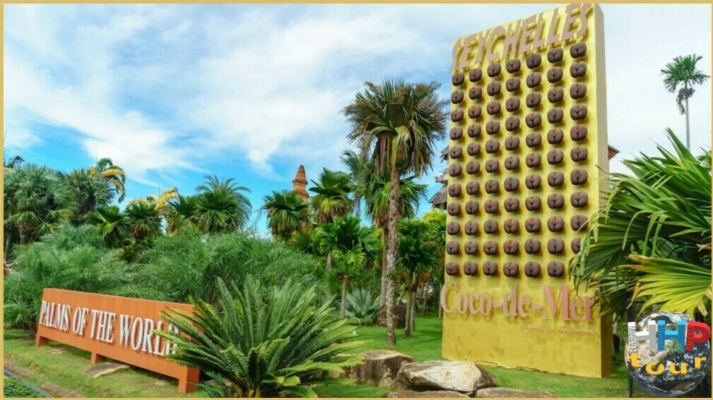 В парке Нонг Нуч Паттайя пальмы со всего мира.