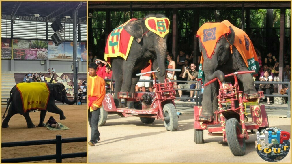 Парк ландшафтного дизайна Нонг Нуч Паттайя. Слоны на велосипедах и слон массажист.
