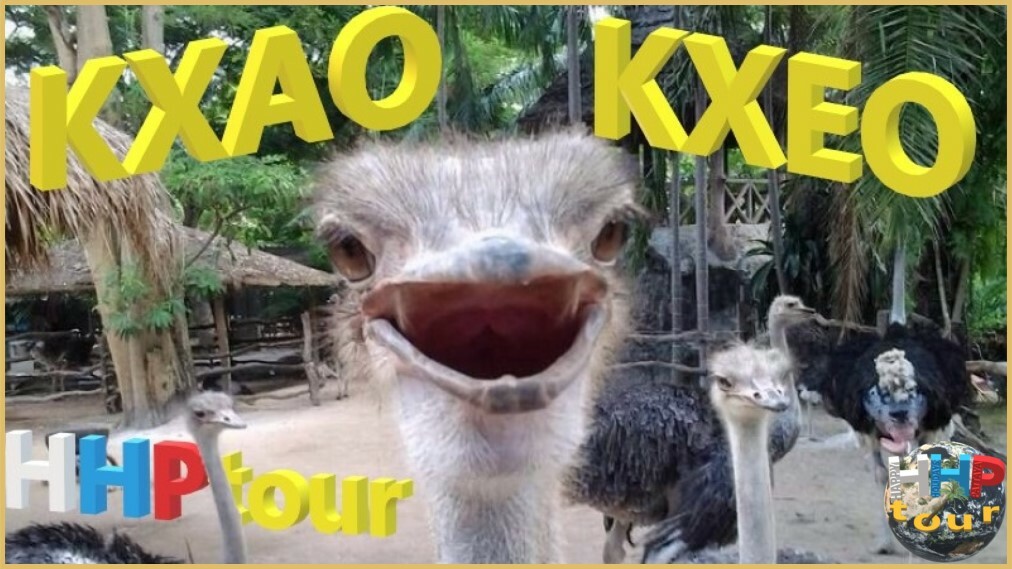 icon - /uploads/s/j/4/t/j4tfgtlwg9dz/img/full_IN6aVNKT.jpg