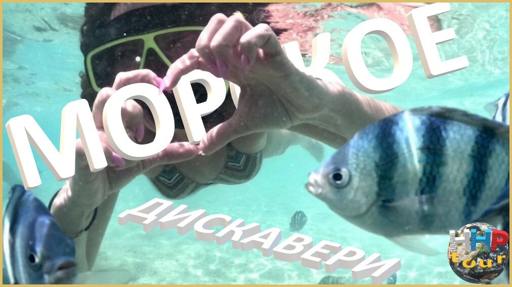 Морское дискавери