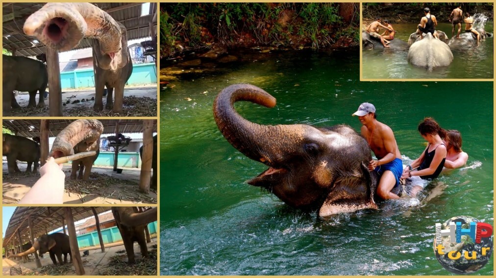 Экскурсия Ко Чанг ВИП. Кормление слонов и купание.