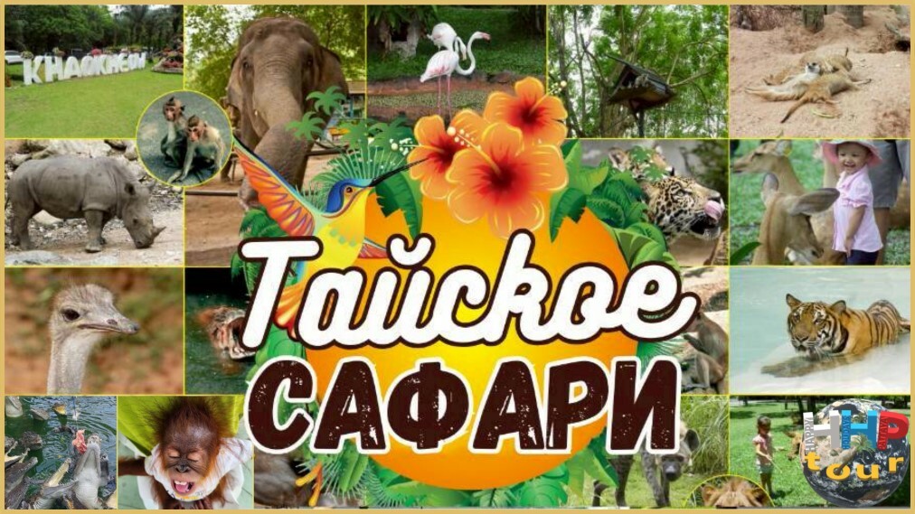 icon - /uploads/s/j/4/t/j4tfgtlwg9dz/img/full_braArgrp.jpg