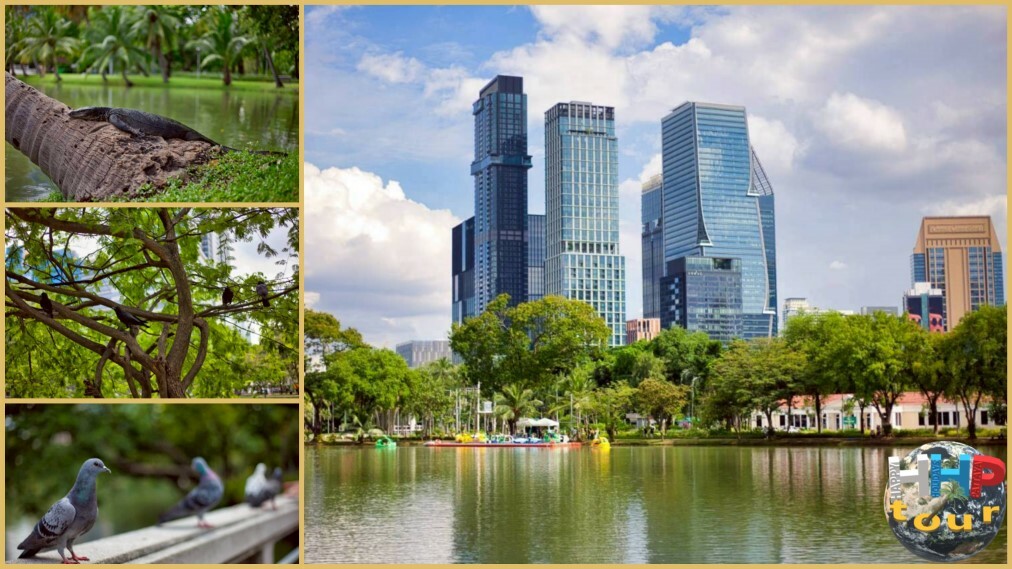 Люмпини парк, вараны, голуби, вид на небоскрёбы. Экскурсия новый вечерний Бангкок.