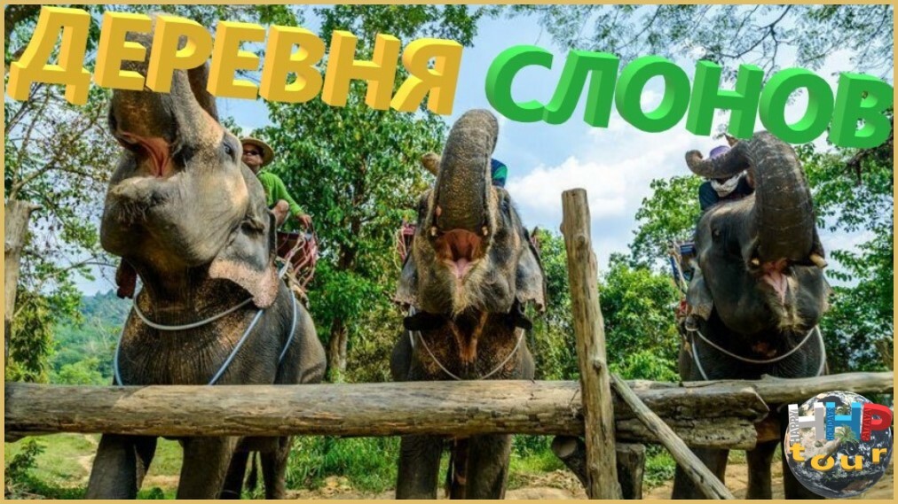 Деревня слонов в Паттайе и катание
