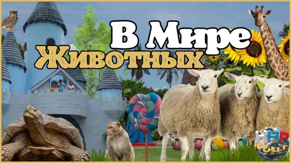 Экскурсия "В Мире Животных"
