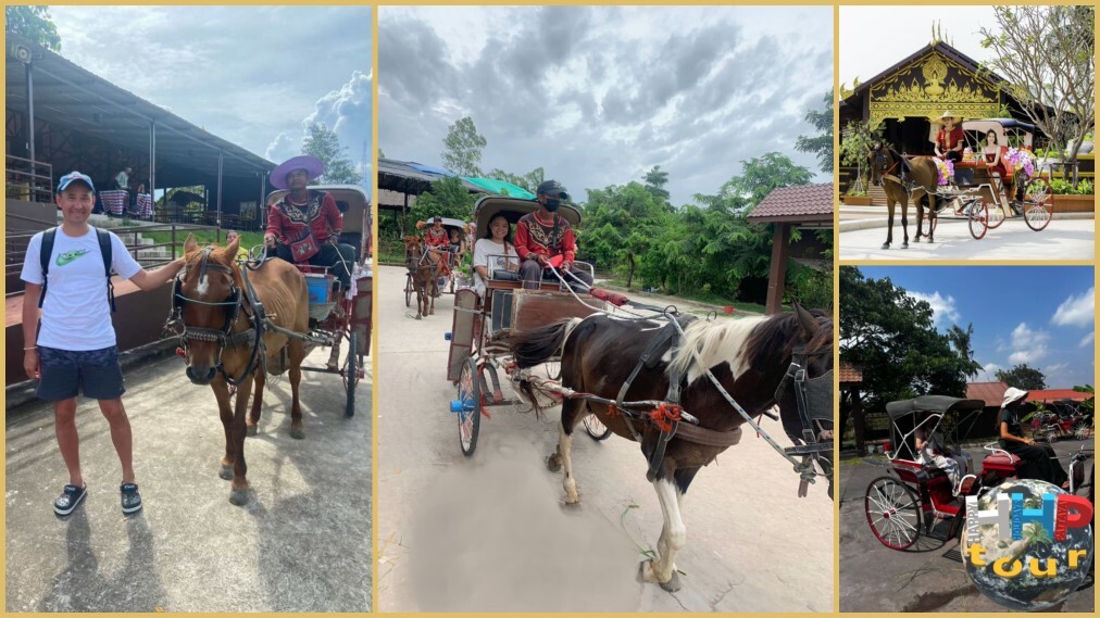 Знакомство с Сиамом. Прогулка в карете с лошадью.