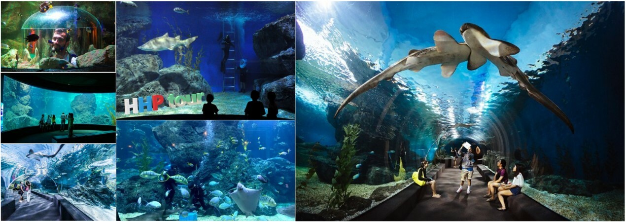 Тоннель под водой в Under Water World Бангкок. Акулы, скаты, люди в тоннеле под водой