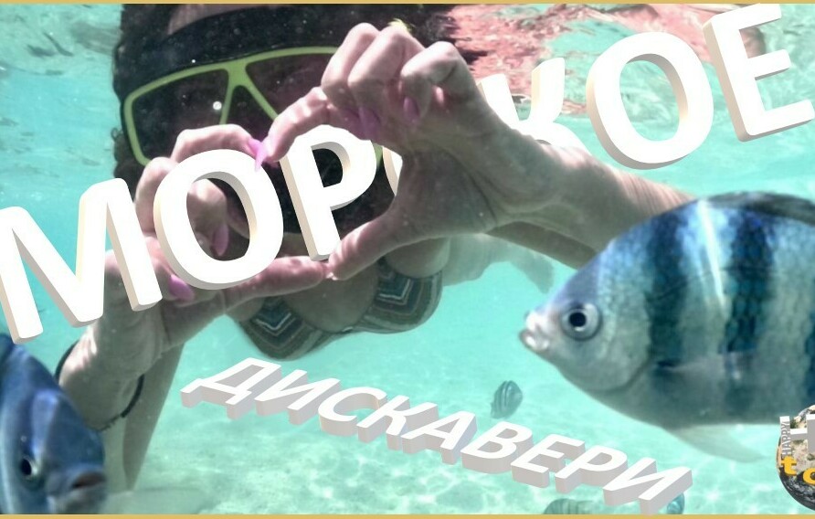 МОРСКОЕ ДИСКАВЕРИ