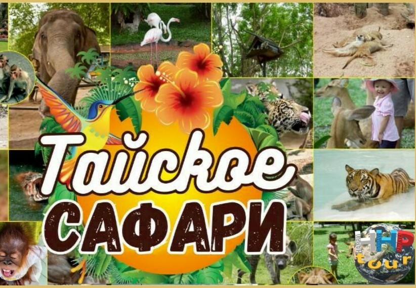 ТАЙСКОЕ САФАРИ&nbsp;<span style="font-weight: normal;">(Два контактных зоопарка за 1 день)</span>